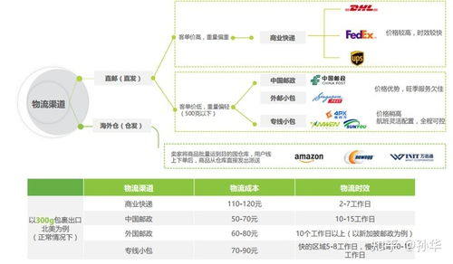 中国跨境出口b2c电商北美市场调研